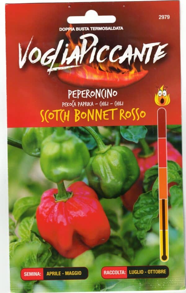 Scotch Bonnet Rosso - C. chinense