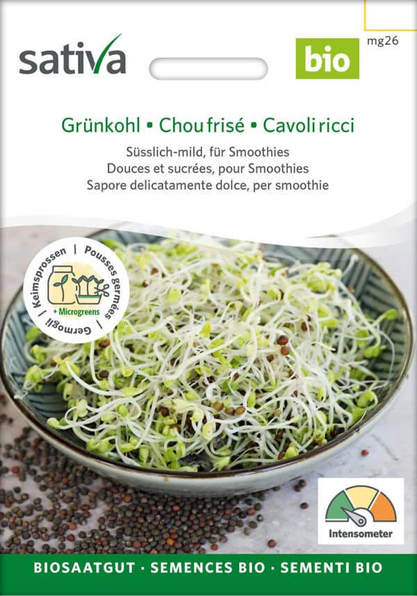 Øko / Biodynamisk palmekål spire frø til mikro grønt