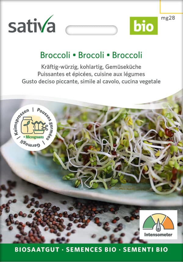 Øko / Biodynamisk broccoli spire frø til mikro grønt
