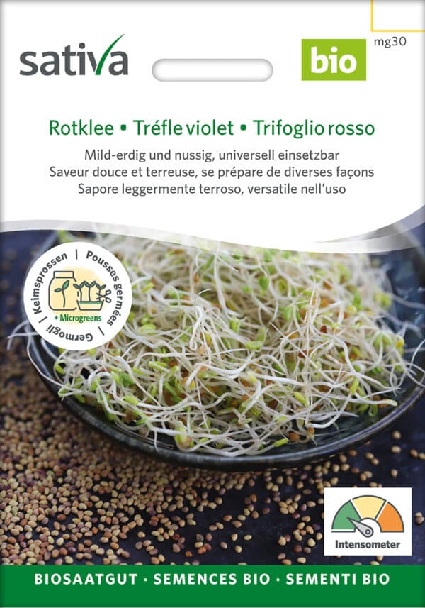 Øko / Biodynamisk rød kløver spire frø til mikro grønt