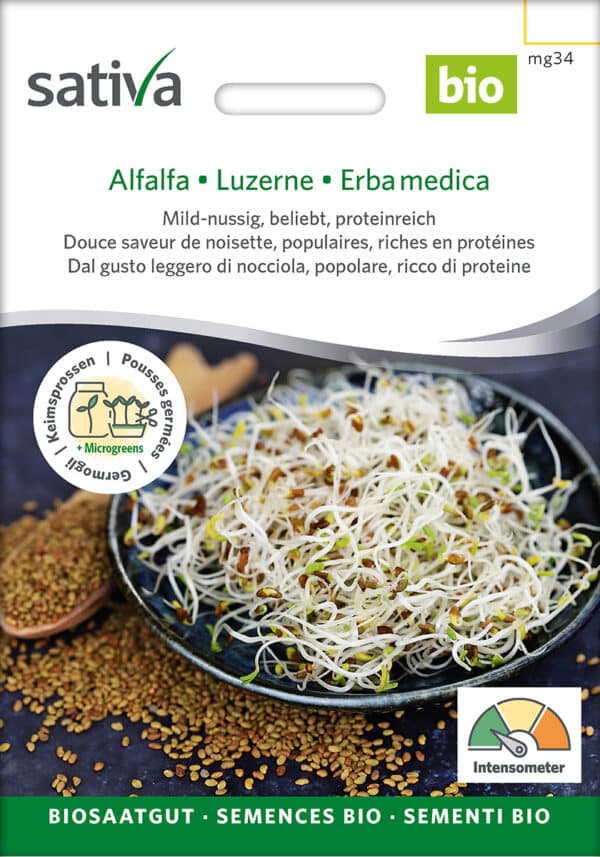 Øko / Biodynamisk lucerne spire frø til mikro grønt