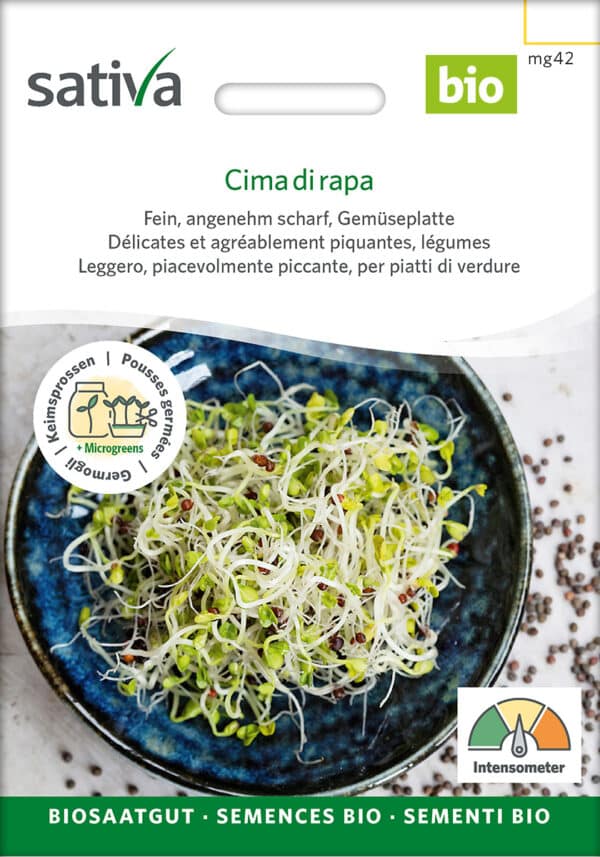 Øko / Biodynamiske broccolini spire frø til mikro grønt