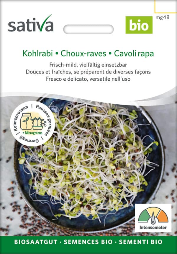Øko / Biodynamisk kålrabi spire frø til mikro grønt