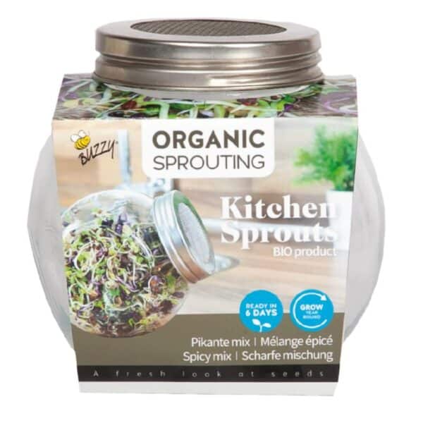 Spirekrukke med Øko spicy salat spire mix