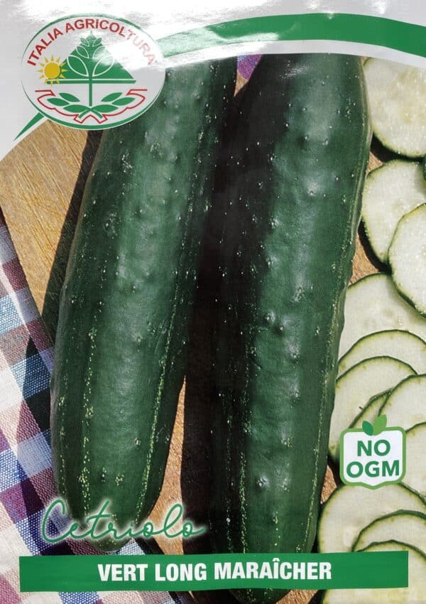 Agurk, salat - Vert long Maraicher - Italia