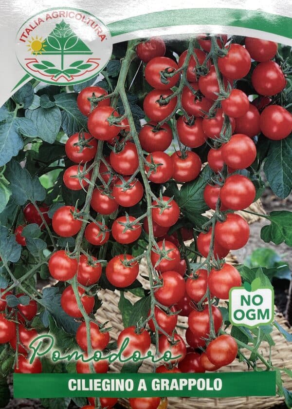 Cherrytomat - Ciliecino a Grappolo - Solanum Lycopersicum L -  Italia