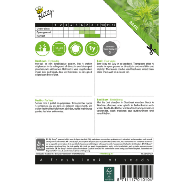 Basilikum - Fijnbladig - Ocimum basilicum - Billede 2
