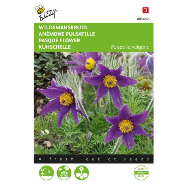 Kubjælde - Pulsatilla Vulgaris