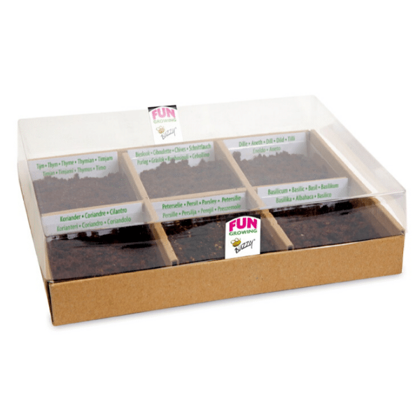 Starter Kit - Tea time - Gro din egen te - Image 2