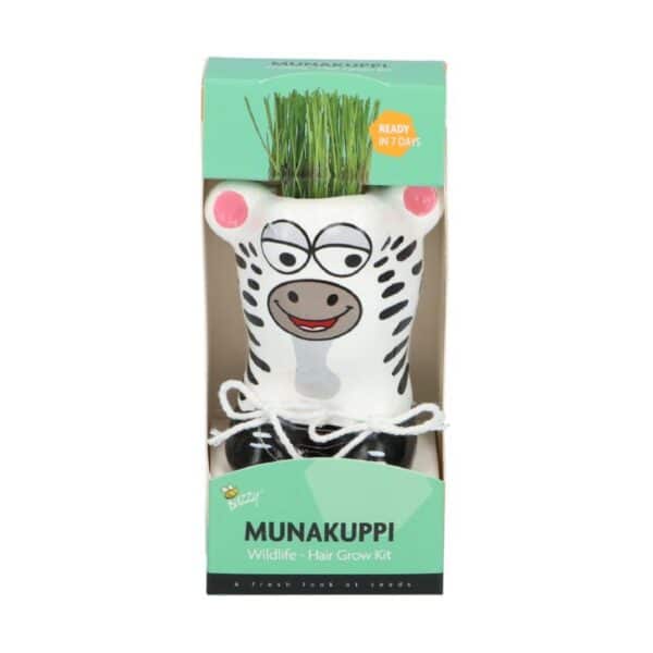 Munakuppi Wildlife - Zebra
