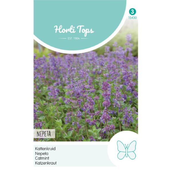 Katteurt - Nepeta
