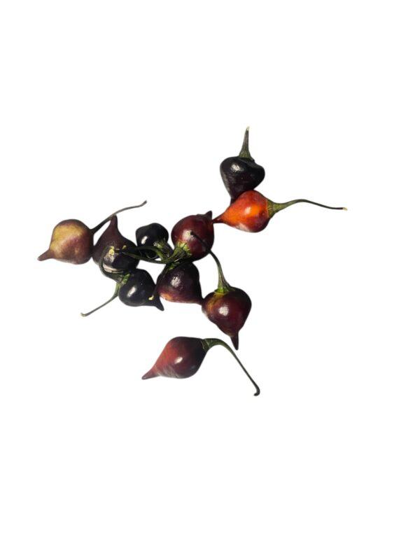 Chupetinho Black - 50gram - Friske frugter