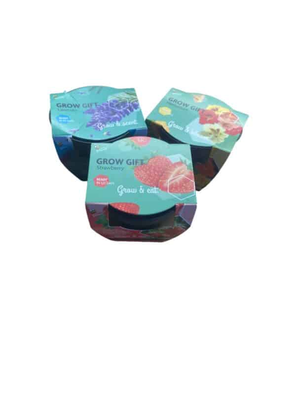 Gro gave assorteret - OUTLET - Transportskade