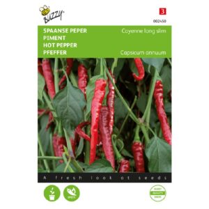 Cayenne long slim - C. annuum