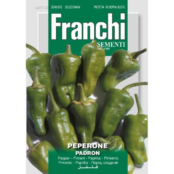 Pimiento De Padron - C. annuum