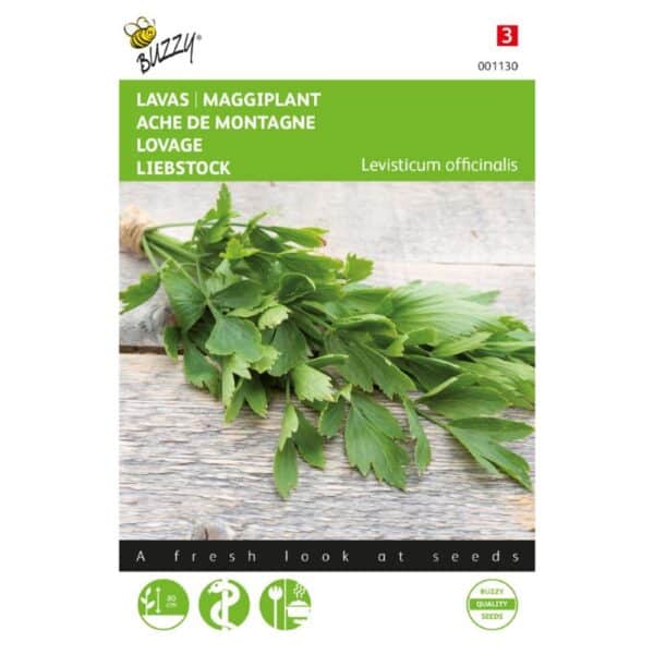 Løvstikke - Levisticum officinalis