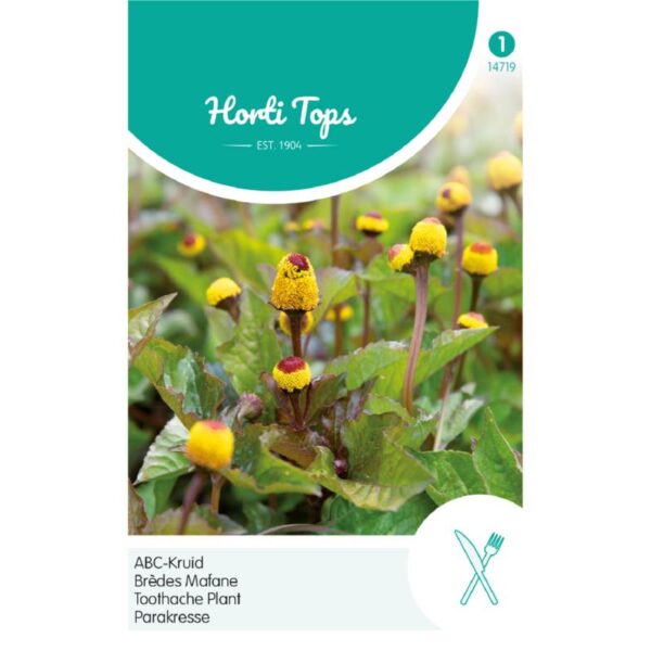 Tandpineplante - Spilanthes oleracea