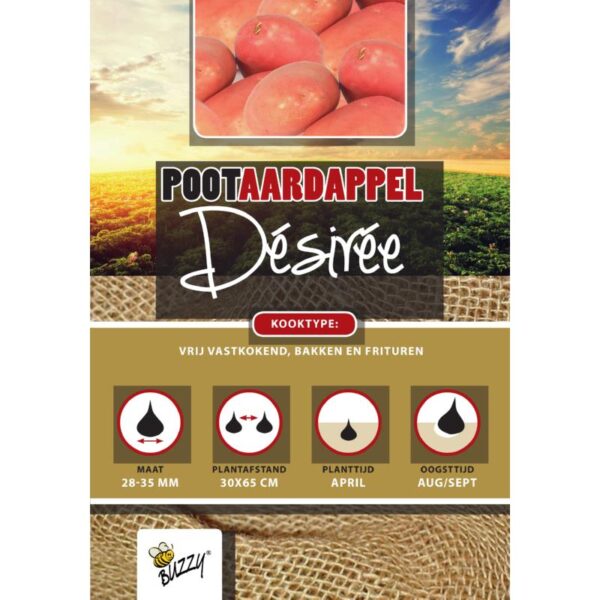 Læggekartoffel - Desiree 1KG - Buzzy® - NYHED2025
