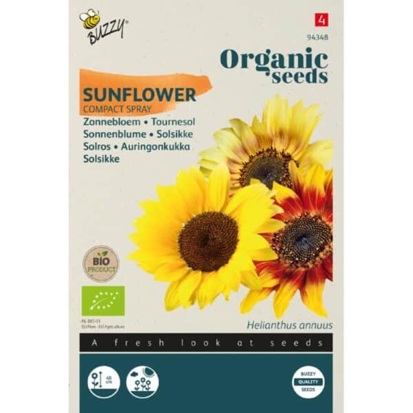 Solsikke - Compact Spray - Helianthus annuus - ØKO