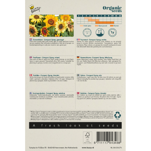 Solsikke - Compact Spray - Helianthus annuus - ØKO - Billede 2