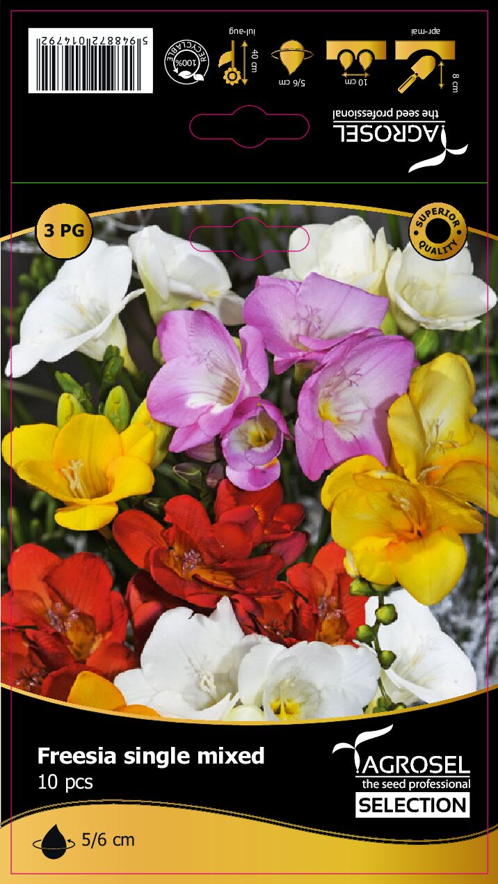 Freesia selection mix - knolde