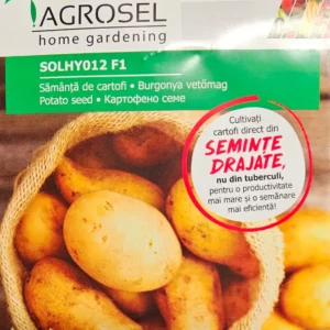 Kartoffel Frø - SOLHY012 F1 - PG8